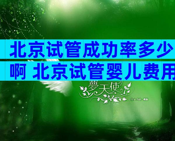 北京试管成功率多少啊 北京试管婴儿费用大概要多少钱